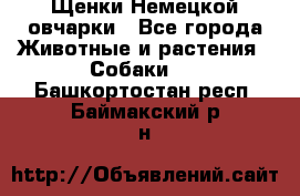 Щенки Немецкой овчарки - Все города Животные и растения » Собаки   . Башкортостан респ.,Баймакский р-н